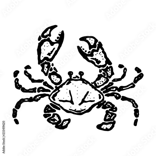 Vector vintage crab drawing. Hand drawn monochrome seafood illustration. Great for menu  poster or label. Vector illustration of a crab. 