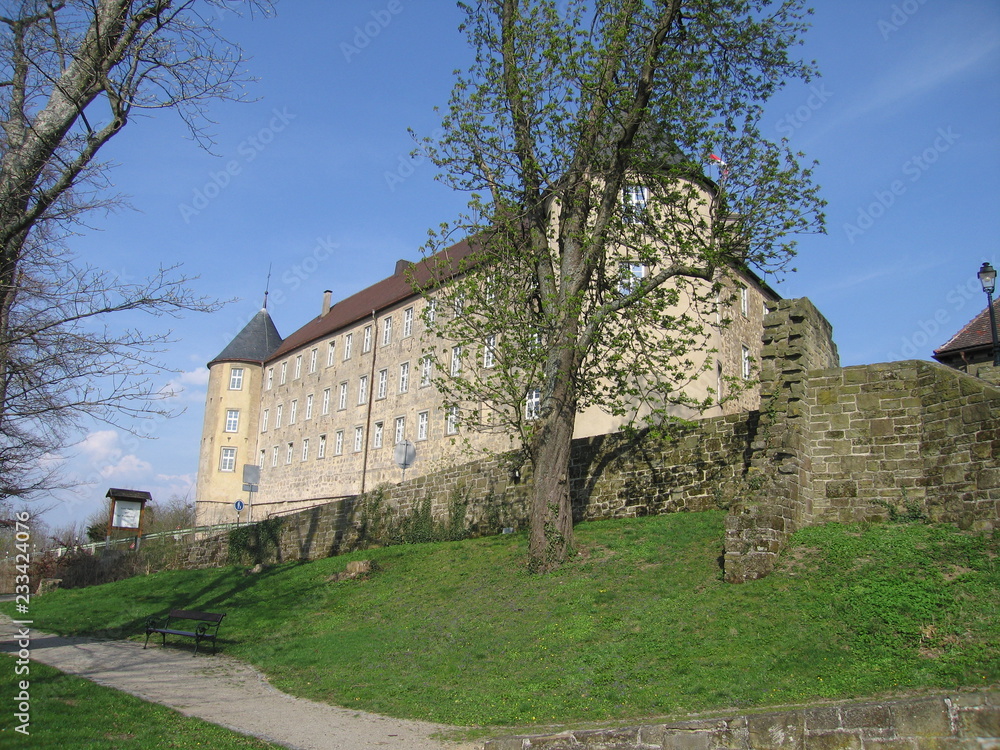 Schloss Waldenburg am Berghang