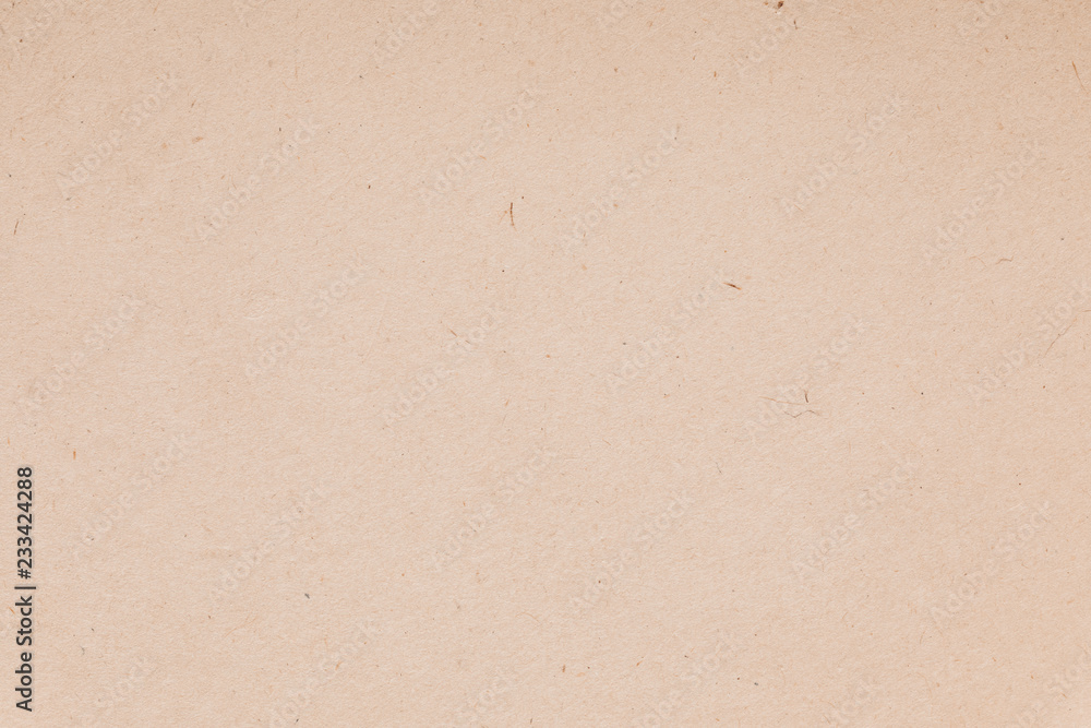 Biodegradable plate cardboard Biodegradable plate cardboard