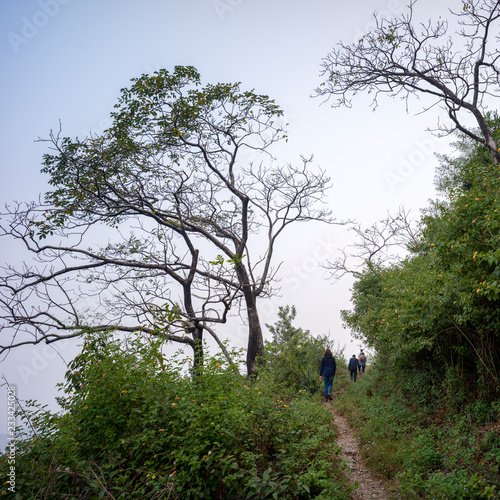 Tourists on hiking trail to Kunjapuri Devi Temple, Adali, Narendranagar, Tehri Garhwal, Uttarakhand, India photo