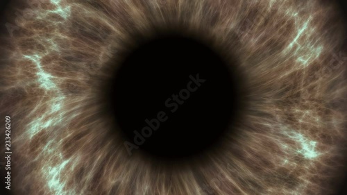 Brown human eye dilating and contracting. Very detailed extreme close-up of iris and pupil.