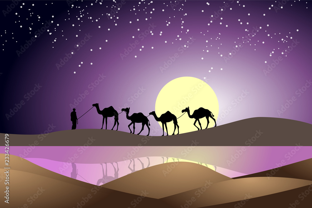 night scene wallpaper of camel and his owner night scene wallpaper of camel and his owner