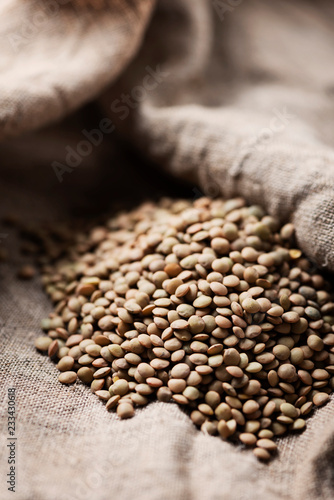 Raw healthy brown lentil