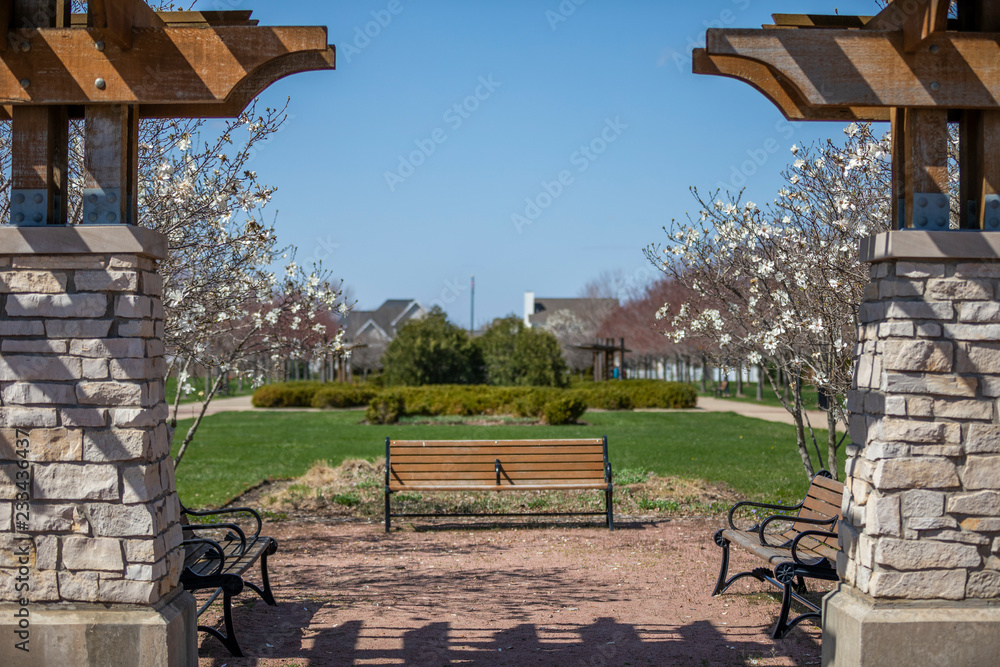 Fototapeta bench in the park