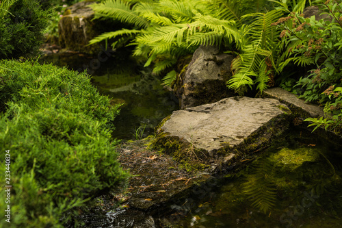 landscape picture of a japanese garden with a small watercourse