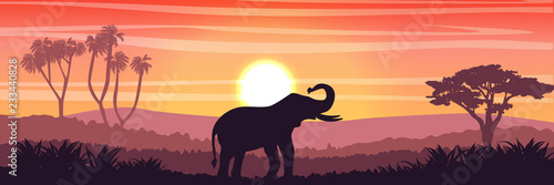 Elephant in the African savanna at sunset. Doum palms, acacia. Silhouettes of animals and plants. Realistic vector landscape. The nature of Africa. Reserves and national parks.