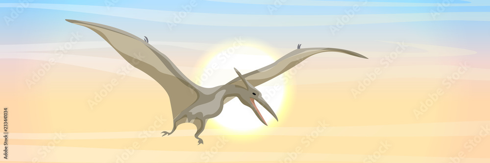 Pterodactyl or pteranodon. Flying prehistoric reptile vector illustration.  Stock Vector