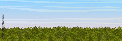 Green grass under an open blue sky. Glade or meadow. realistic vectorial landscape.