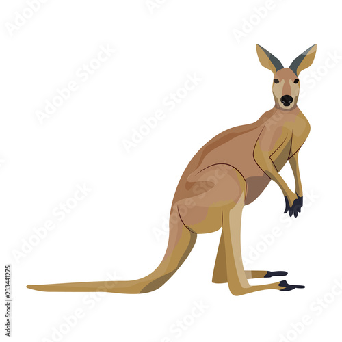 Big red Australian kangaroo. Wild animals of Australia. Fauna. Endemic species. Vector illustration, isolated on white background.