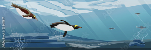 Realistic Antarctic underwater landscape. Two penguins floating in the sea water. Vector illustration, a scene from marine life.