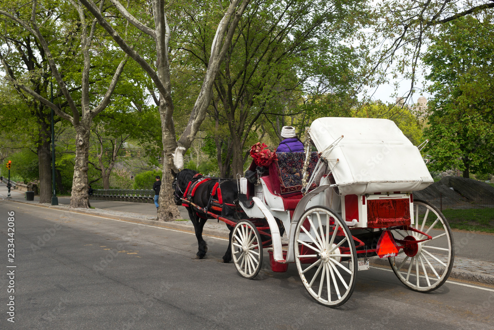 Horse drawn carriage in Central Park, Manhattan, New York City, New York State, USA