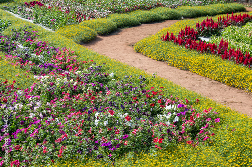 Landscape of Beautiful flower garden