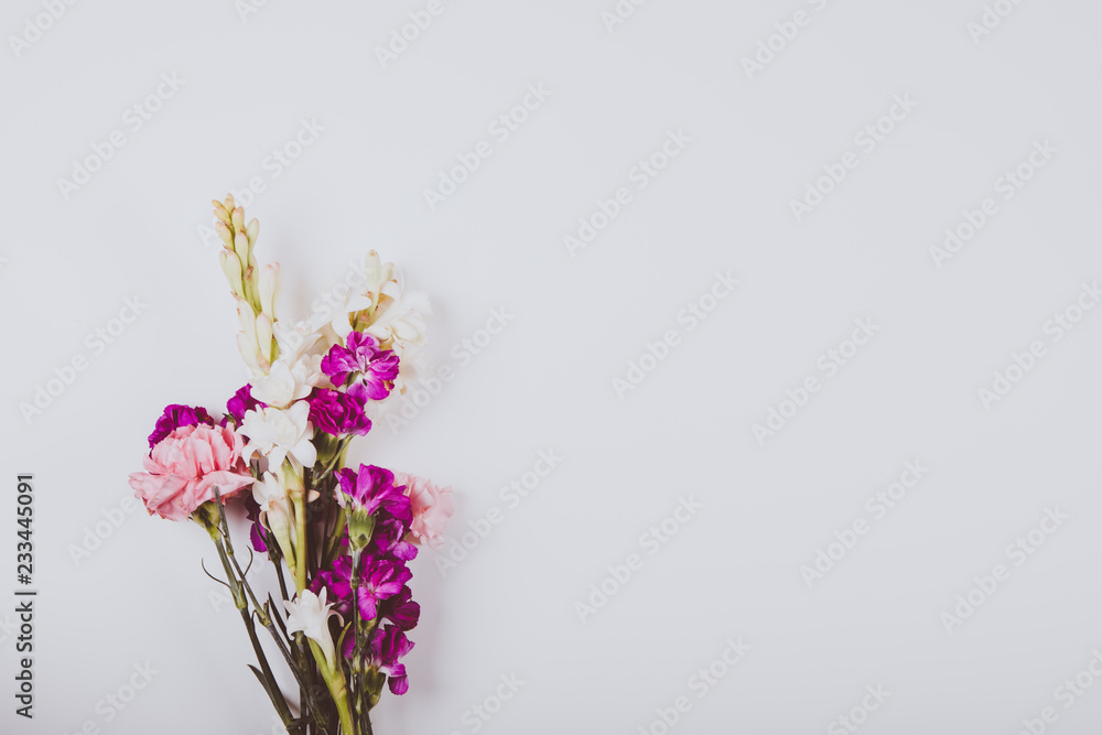 Color background with flowers