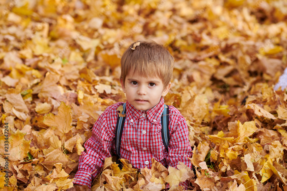 Child boy is lying and playing on fallen leaves in autumn city park. Child boy is lying and playing on fallen leaves in autumn city park.