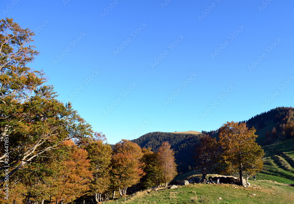 Schwarzwaldlandschaft im Herbst