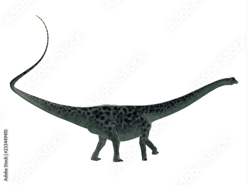 Diplodocus Dinosaur Side Profile - Diplodocus was a sauropod herbivorous dinosaur that lived in North America during the Jurassic Period.