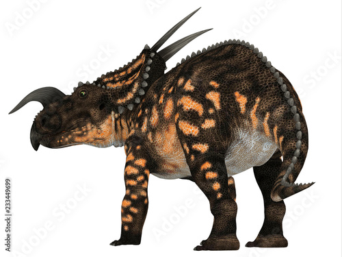 Einiosaurus Dinosaur Tail - Einiosaurus was a Ceratopsian herbivore dinosaur that lived during the Cretaceous Period in North America. © Catmando