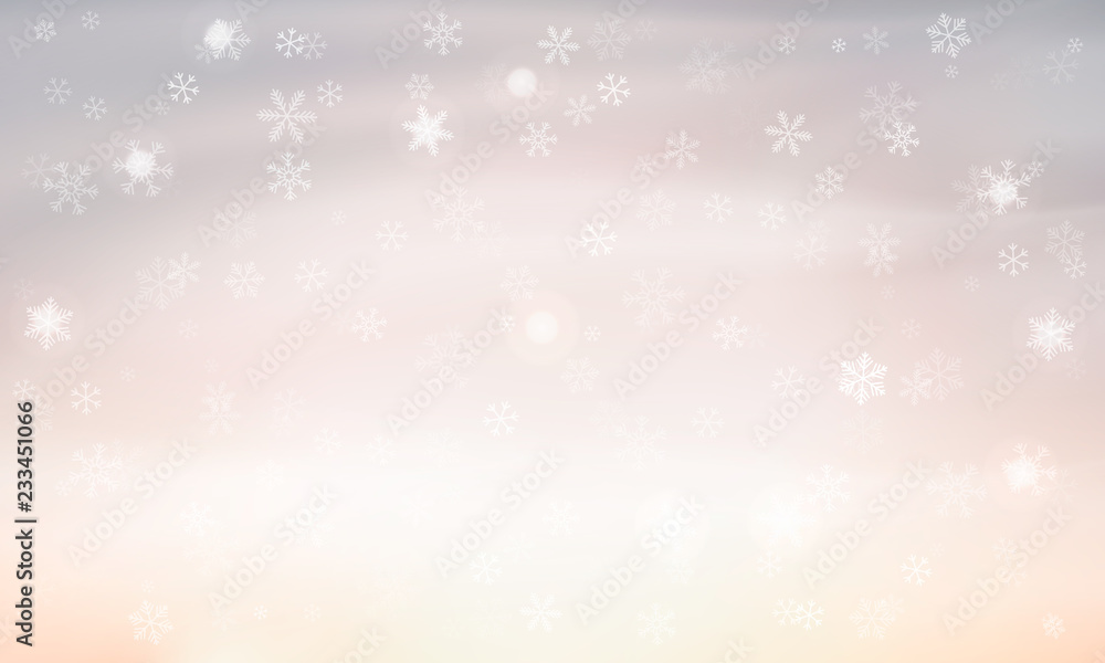 light background with snowflakes. Vector. winter background light background with snowflakes. Vector. winter background