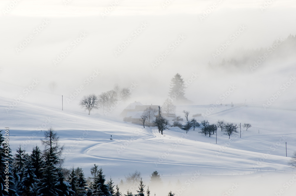 Fototapeta premium Verschneite Landschaft in Nebel gehüllt