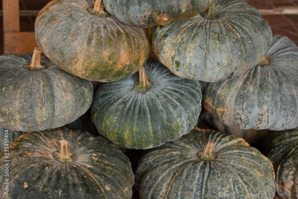 Closeup of pumpkin