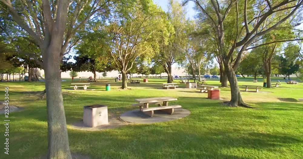 Low flying aerial through park trees and benches Low flying aerial through park trees and benches
