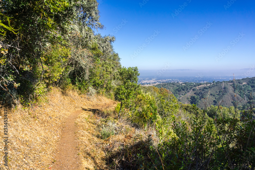 Obraz premium Hiking trail in Palo Alto Foothills Park, San Francisco bay area visible in the background, California