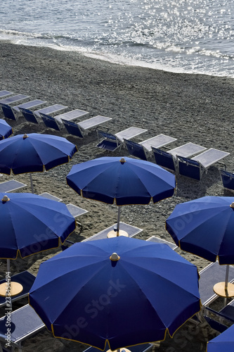 Umbrellas and chairs on the beach.