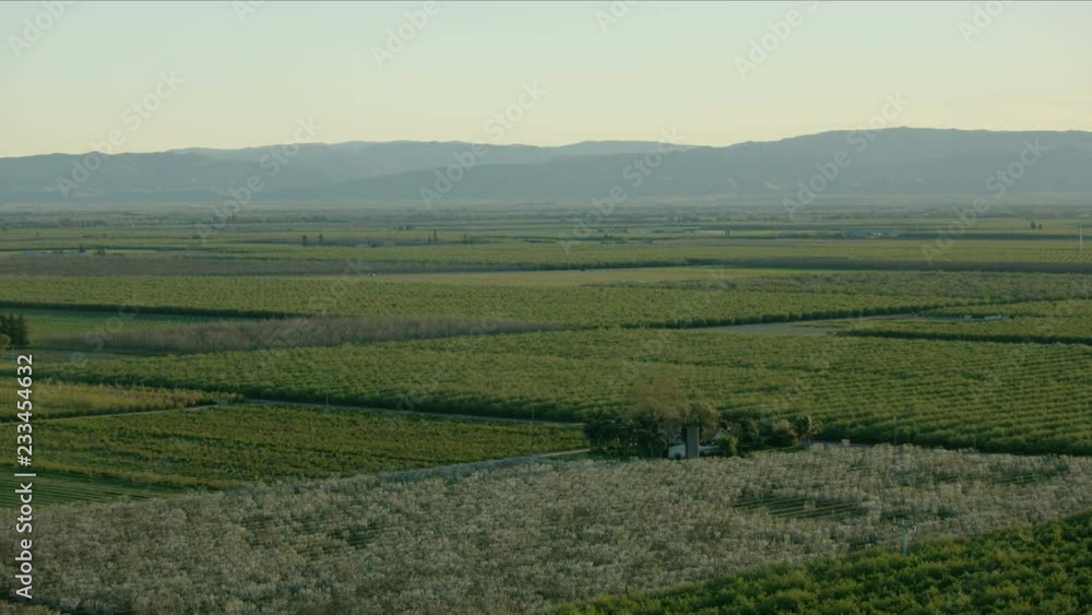 Aerial of patchwork crops fields scenery Central Valley Aerial of patchwork crops fields scenery Central Valley