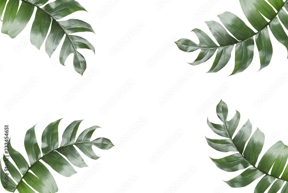 Obraz Background of Tropical Leaves with copy space