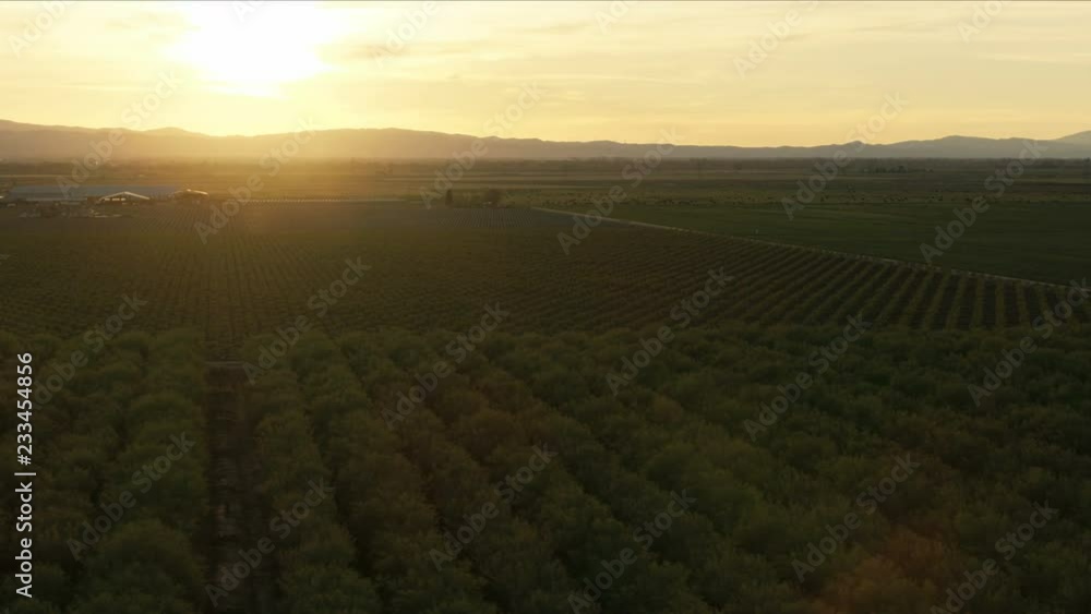 Aerial view crops fields sunset sun flare California Aerial view crops fields sunset sun flare California