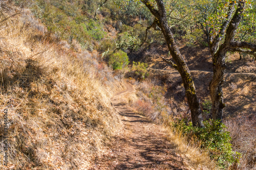 Hiking trail in Palo Alto Foothills Park, San Francisco bay area, California Hiking trail in Palo Alto Foothills Park, San Francisco bay area, California