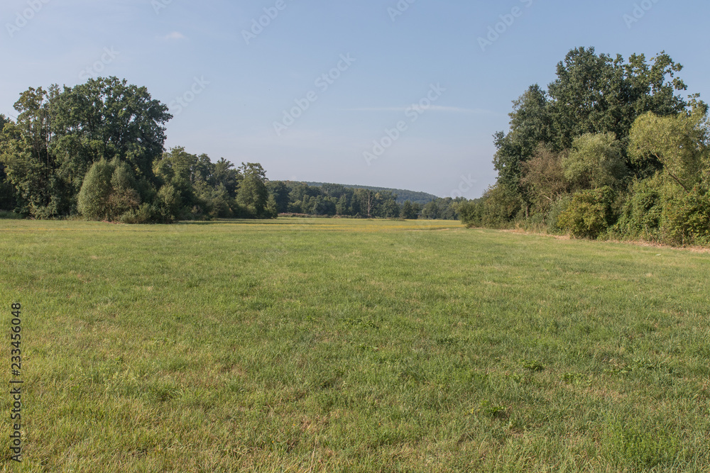 summer landscape