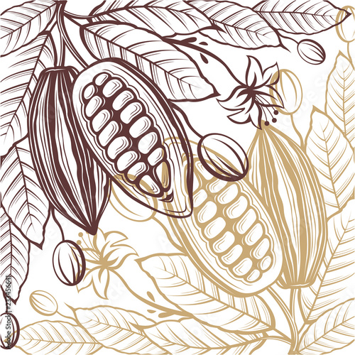 pattern of cocoa packages with beans, branch and leaves