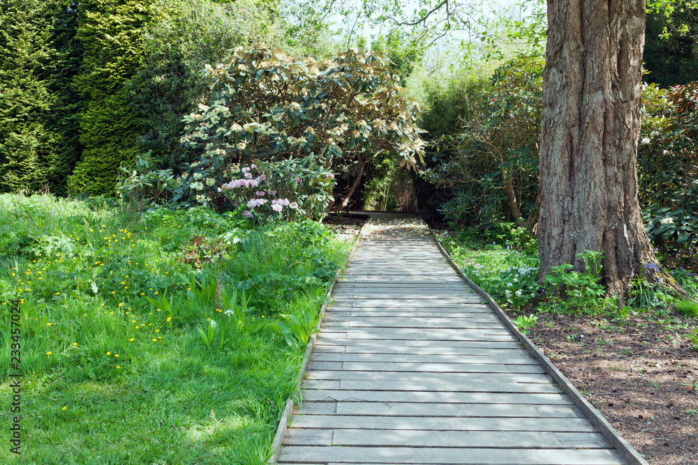 Obraz premium Wooden footbridge through wildflower meadow to bushy garden .