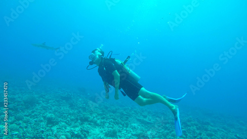 UNDERWATER: Young man diving and swimming with sharks above stony coral reef