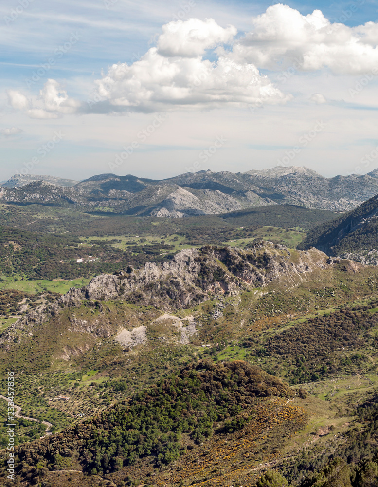Fototapeta premium Mountains on a sunny day in the Sierra de Grazalema In Spain