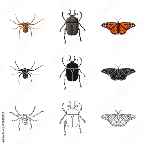 Vector design of insect and fly sign. Collection of insect and element stock vector illustration. © Svitlana