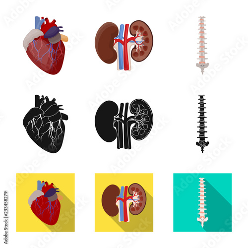 Isolated object of body and human symbol. Set of body and medical stock symbol for web.