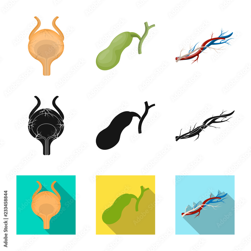 Vector illustration of body and human symbol. Collection of body and medical vector icon for stock.
