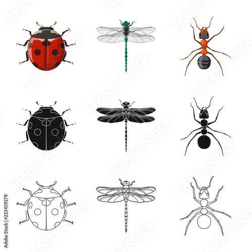 Isolated object of insect and fly symbol. Set of insect and element stock symbol for web.