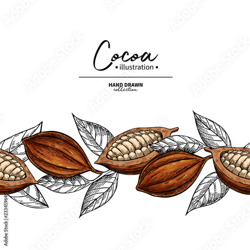 Cocoa border. Vector superfood drawing template. Fruit, leaf and bean seamless pattern.