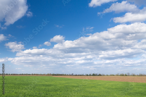clouds over the field/ bright summer photo Ukraine
