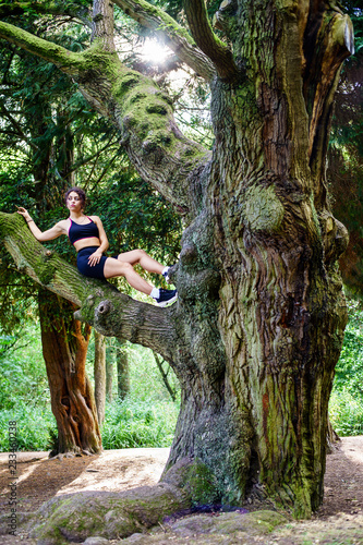 Fototapeta Naklejka Na Ścianę i Meble -  Beautiful Woman sitting up in a huge Tree Fork enjoying Nature