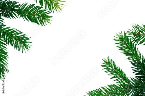 New year copyspace background, green contiferous fir tree branches frame