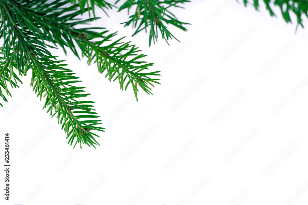 New year white copyspace background, green fir tree branches frame New year white copyspace background, green fir tree branches frame