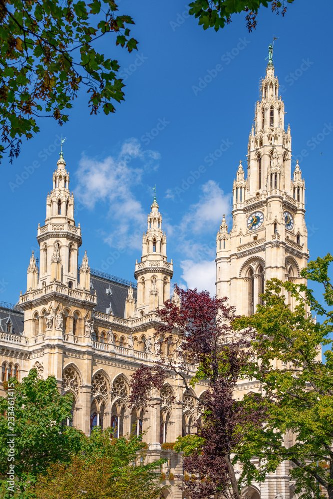 Fototapeta premium Ratusz w Wiedniu