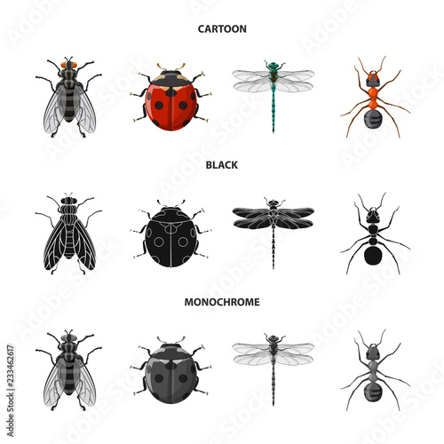 Isolated object of insect and fly icon. Set of insect and element vector icon for stock.
