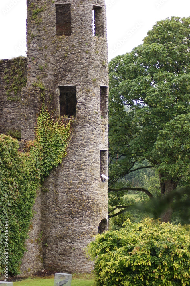 Fototapeta premium Wachturm