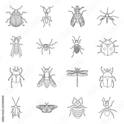 Isolated object of insect and fly icon. Set of insect and element stock vector illustration. © Svitlana