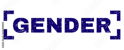 GENDER text seal print with corroded style. Text label is placed between corners. Blue vector rubber print of GENDER with unclean texture.
